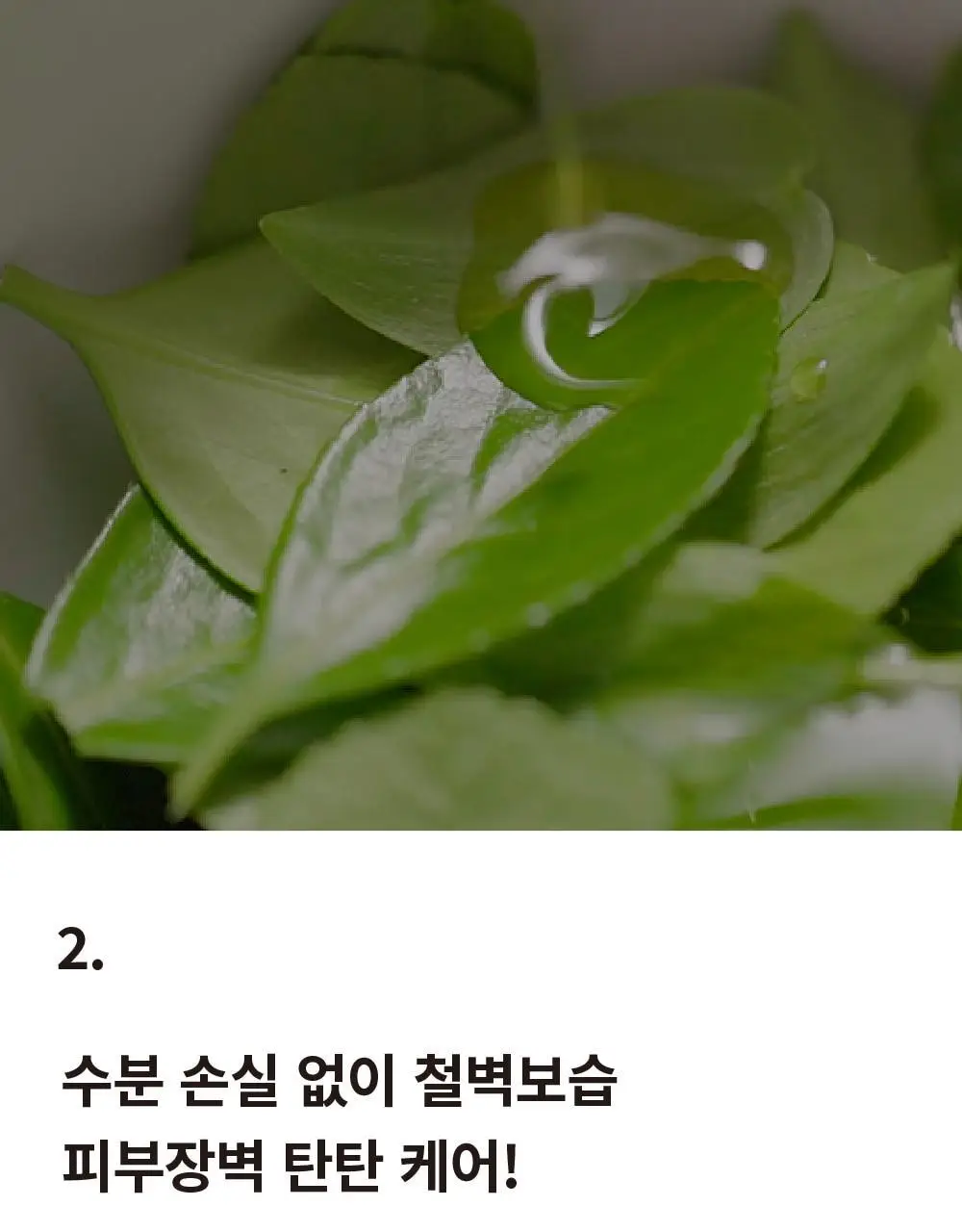 [온가족로션/탄탄장벽] 에스네이처 블랑쉬 올인원 로션 200ml 상세페이지 17